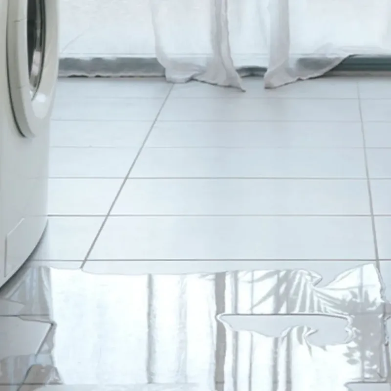 Appliance Leak Cleanup in Craig Beach, OH