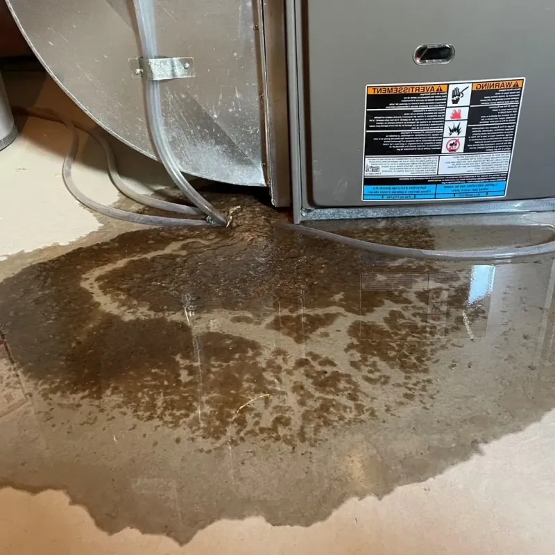 Pipe Burst and Leak Restoration in Craig Beach, OH